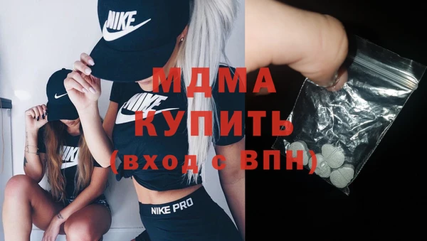 индика Алексин