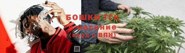 прущие грибы Алексеевка