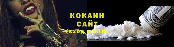 индика Алексин