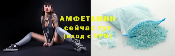 гашик Козельск