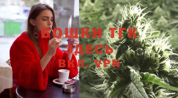 индика Алексин