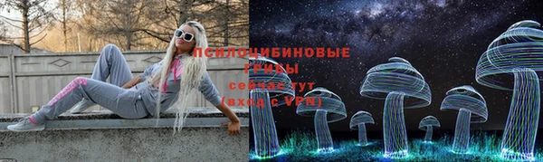 прущие грибы Алексеевка