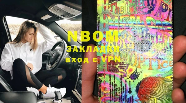 индика Алексин